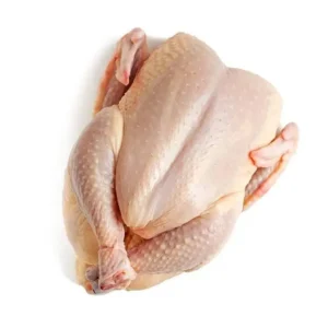 Frozen Turkey